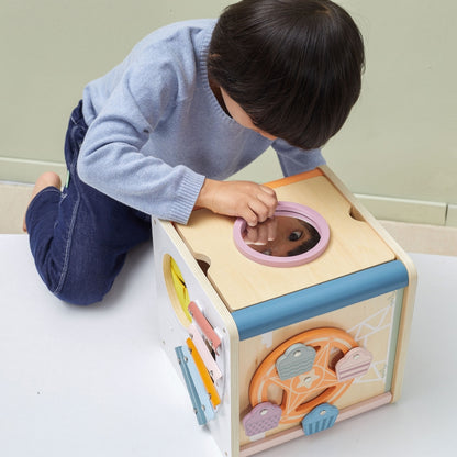 VIGA PolarB 8-in-1 Activity Cube